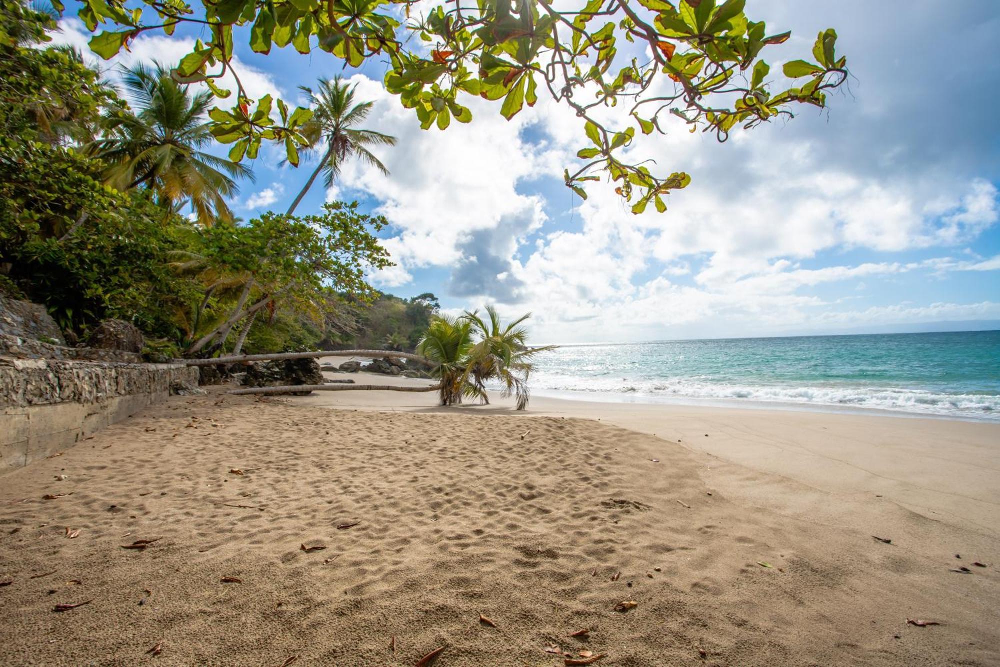 Xeliter Vista Mare, Samana Aparthotel Buitenkant foto